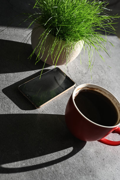 早上的咖啡，一盆植物和一部电话图片下载