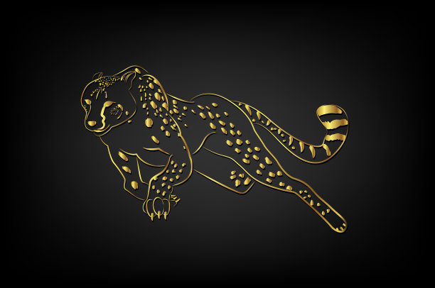 在黑色背景上装饰猎豹边界图片下载