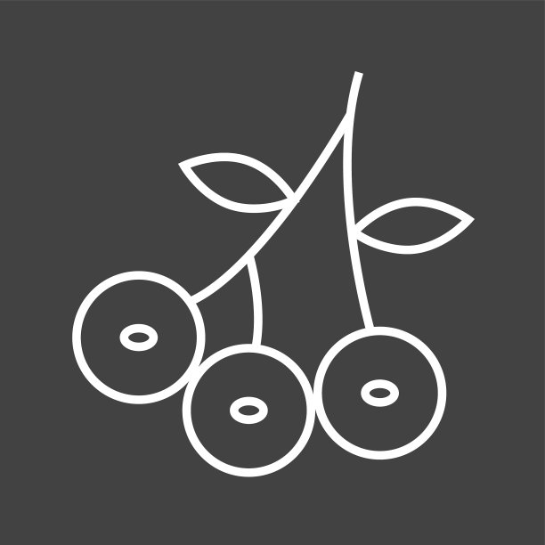 独特的蓝莓系列图标图片下载