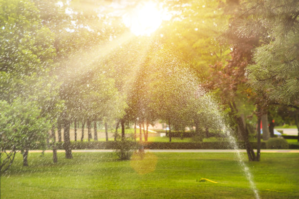 在公园里给草坪浇水图片下载