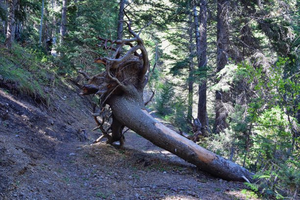 巴特菲尔德峡谷徒步旅行路线沿沃萨奇前落基山脉的奥克尔山脉，由肯尼科特里约热内卢Tinto铜矿，图尔和盐湖城陷落。美国犹他州。图片下载