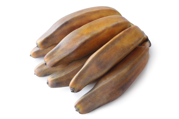 群大蕉图片下载