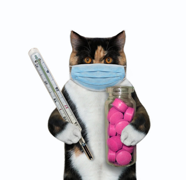 带着温度计和红色药片的猫图片下载