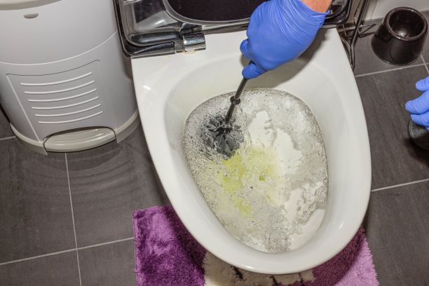 男性双手在蓝色手套清洁马桶座圈的近景。卫生的概念。图片下载