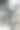 日落后，蝙蝠在Kpalimé的天空中飞翔。图片下载