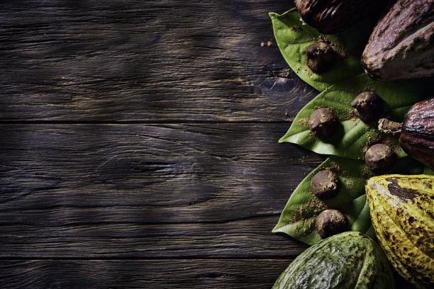 可可水果和巧克力松露的低调形象在老式风格的木制质朴的桌子和复制空间在框架图片下载