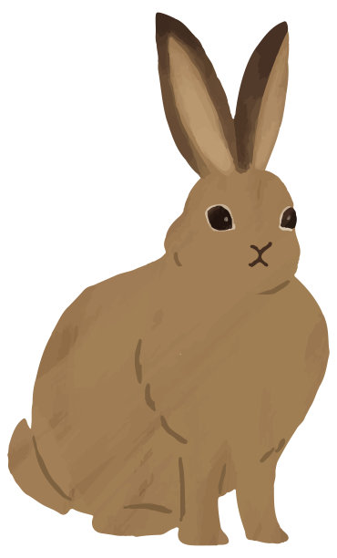 兔画水彩画图片下载