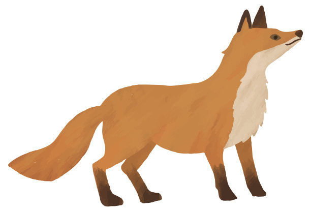 狐狸插图水彩图片下载