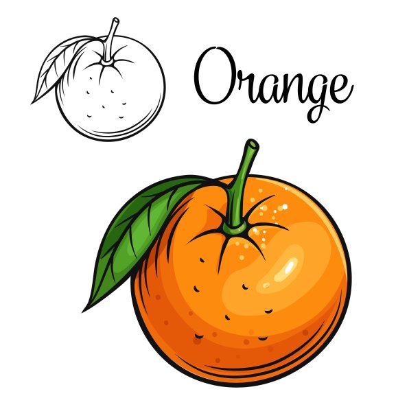 橙色矢量绘图图标素材图片