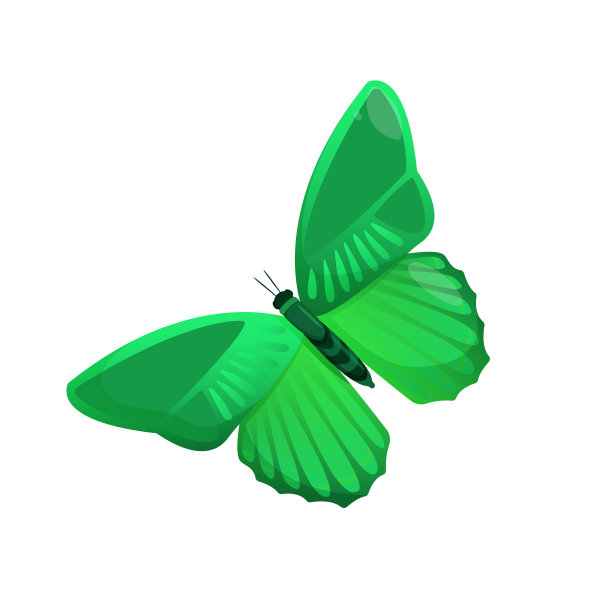 色彩鲜艳的蝴蝶孤立在白色上。图片下载