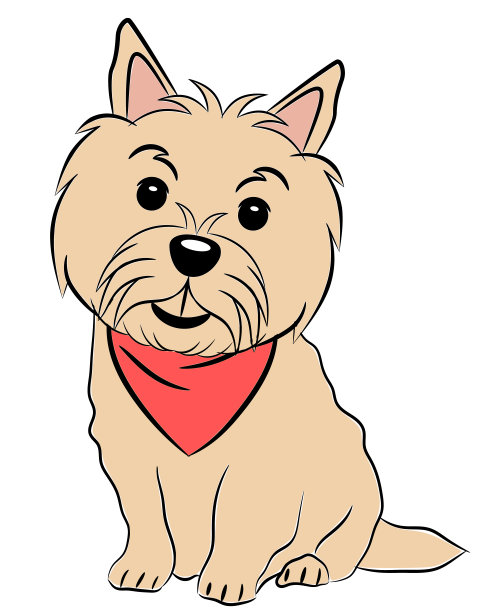 诺里奇梗狗微笑着戴着红色手帕坐彩色素描孤立在白色图片下载