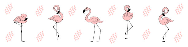 网页横幅与可爱的手画火烈鸟图片下载