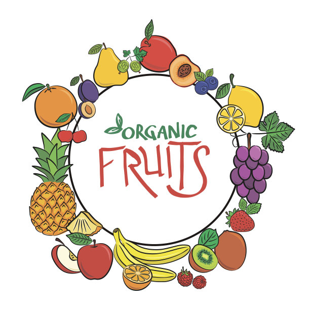 圆形框架与文字“有机水果”与彩色水果和浆果在黑色轮廓。图片下载