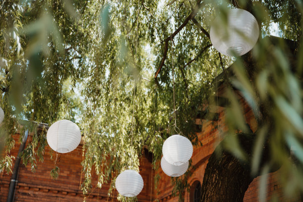 室外花园纸灯照片图片下载