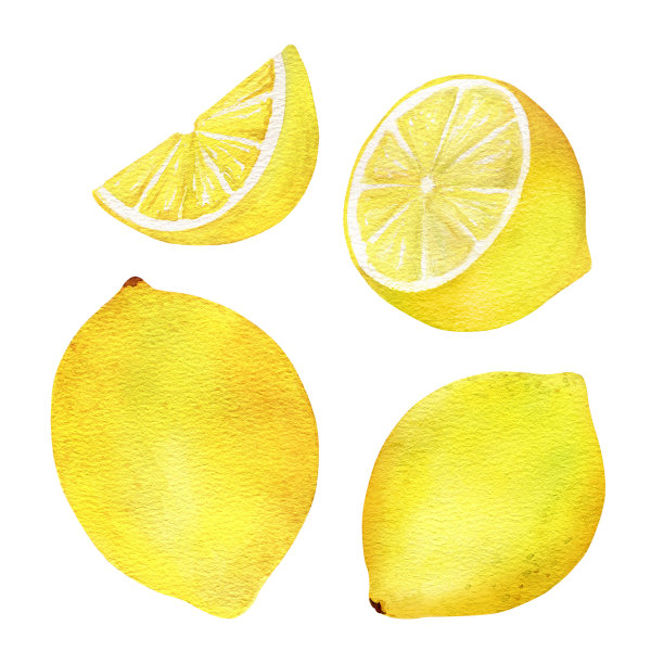 水彩手画柠檬片和一半。孤立的白色背景。水果剪纸插图设计烹饪菜单，海报，标签，展示。图片下载