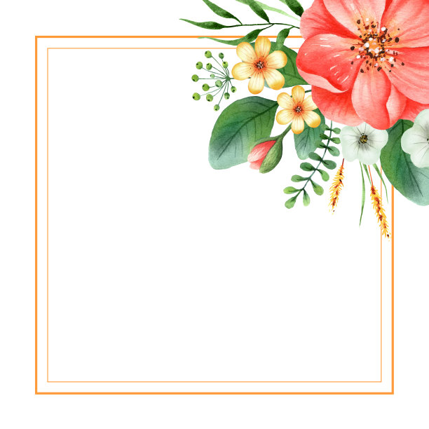 水彩手绘边沿红玫瑰，罂粟，小夏天的花和叶子。花设计的婚礼请柬，保存日期，问候。孤立在白色背景上。图片下载