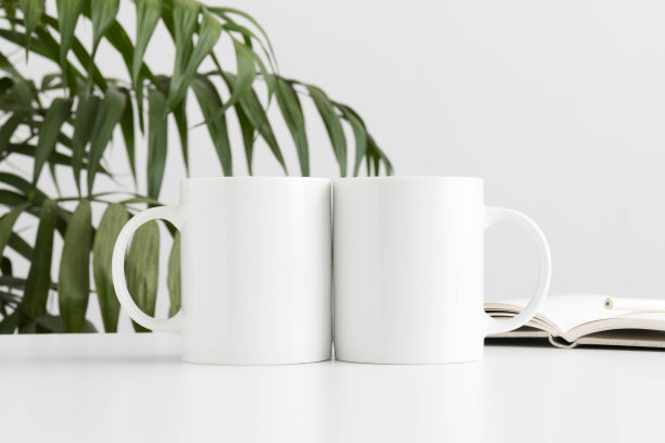 白色桌子上放着两个带笔记本的马克杯模型和一片棕榈叶。图片下载