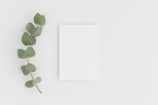 顶视图的白色卡片模型与树枝的桉树在一个白色的桌子上。图片下载
