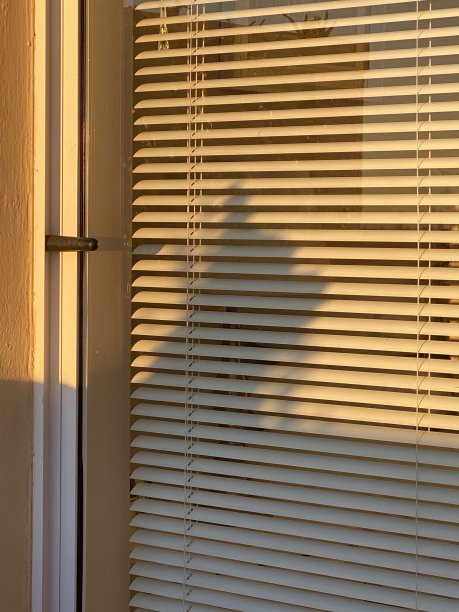 使阴影图片下载