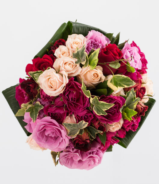 花束孤立在白色背景。图片下载