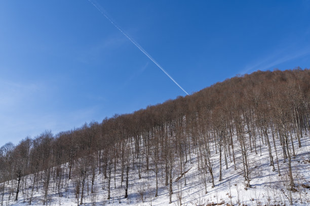飞机和雪山在晴朗的天空图片下载