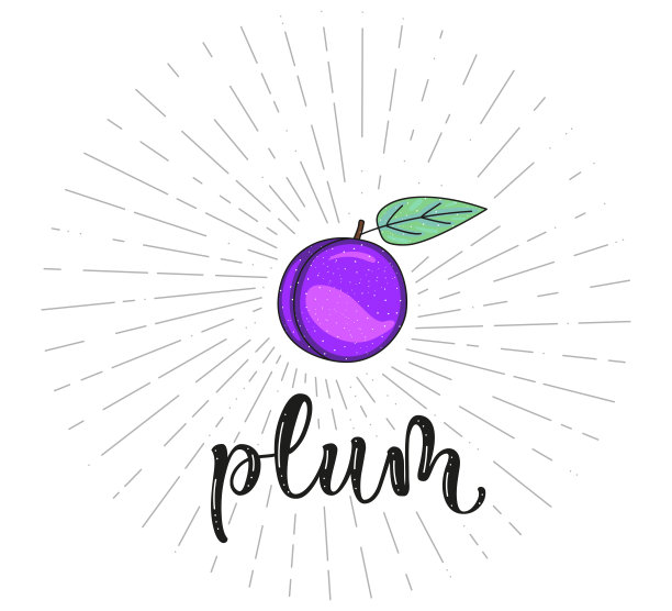 李子。水果符号农贸市场菜单和字母。健康食品的设计。矢量插图。图片下载