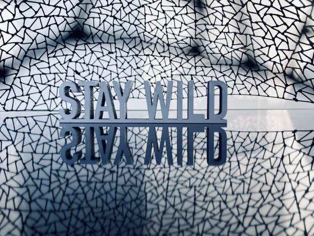 摘要:在网格模式下保持野性图片下载