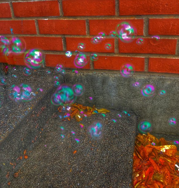 彩色泡泡漂浮在户外图片下载