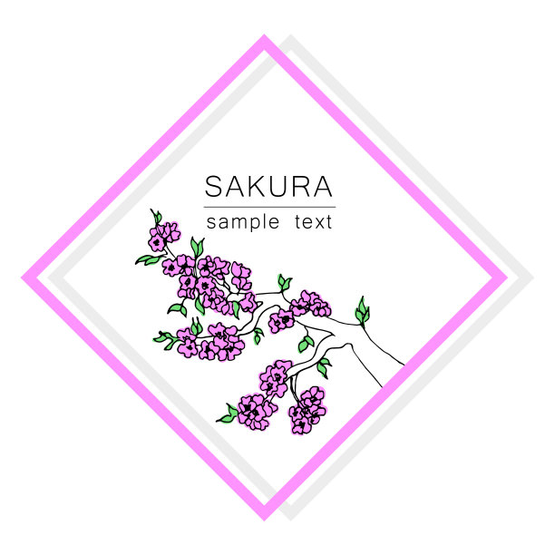 这个树枝是一棵日本樱桃树图片下载