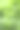 在晚春或初夏的蕨类和其他植物茂盛的新鲜的绿叶图片下载