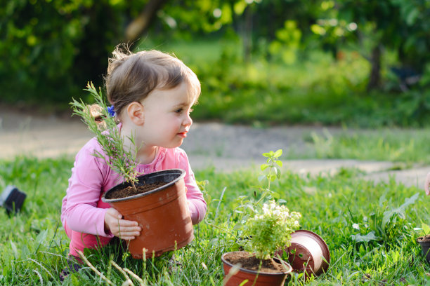 孩子们在院子里做园艺图片下载
