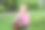 一个小女孩抱着院子里的植物图片下载