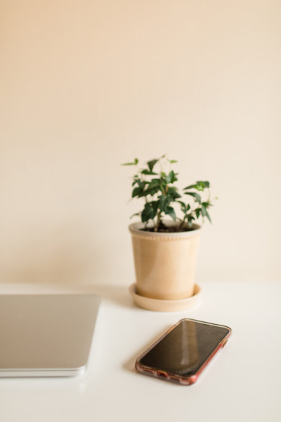 简单的家庭办公室:发泡咖啡，笔记本电脑，电话和常春藤室内植物图片下载