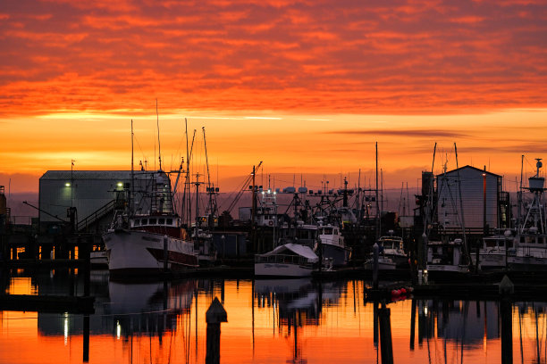日出时停靠在港口的船只图片下载
