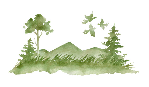 水彩手绘山和冷杉树孤立在白色。常绿树木，森林景观，自然，生态，旅游和远足主题，设计元素，卡片，海报图片下载