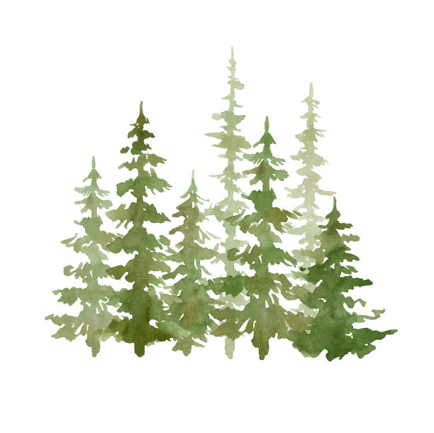 水彩画与常青树。森林元素为景观创造者。孤立的云杉，橡树，松树，冷杉树。松柏科的绿色森林图片下载