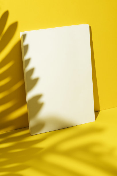 杂志封面模型，模板图片下载