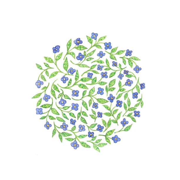 水彩曼荼罗与绿色的叶子和蓝色的花在白色的背景图片下载