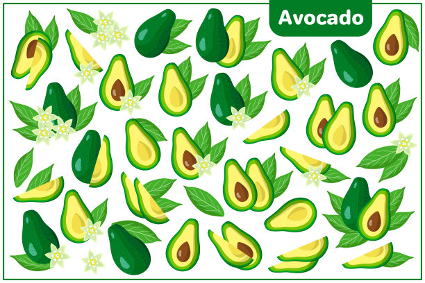 一套向量卡通插图与牛油果异国水果，花和叶孤立在白色的背景图片下载