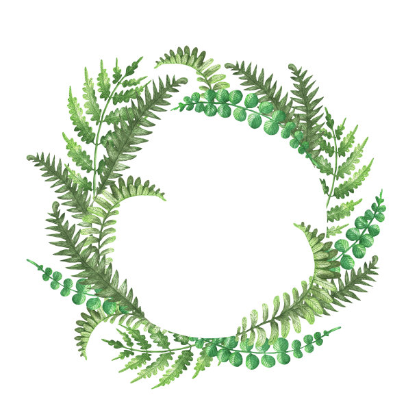 轮架fern.jpg图片下载