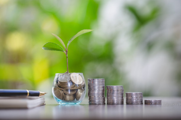 从玻璃瓶里的硬币中生长出来的幼苗和一个有收入和支出记录的硬币梯子存钱为将来买房子抵押住房和房地产的想法。图片下载