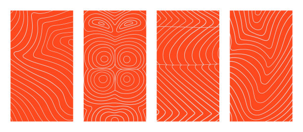 矢量鲑鱼片和鱼排质地。一套垂直背景，横幅，社会故事图片下载