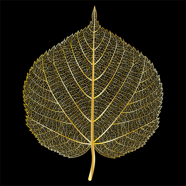 在黑色上孤立的金色叶脉。图片下载