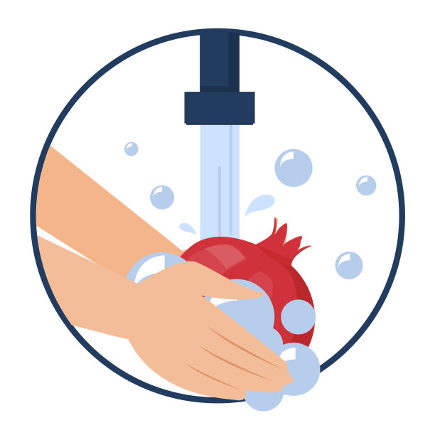 手洗石榴矢量隔离图片下载