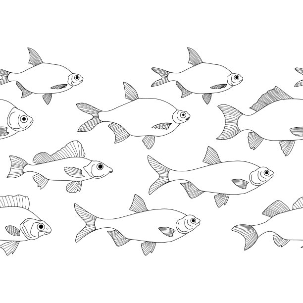 涂鸦鱼无缝边界隔离白色。海产品手绘线条艺术。着色页书。矢量插图。每股收益10图片下载