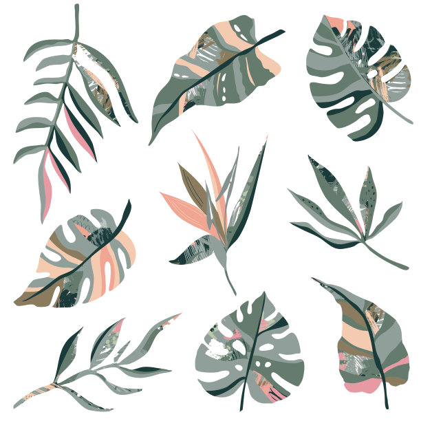 热带植物和抽象纹理的向量收集图片下载