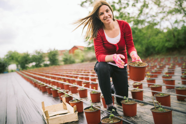 年轻女子在一个花卉种植园工作，种植正在进行中图片下载