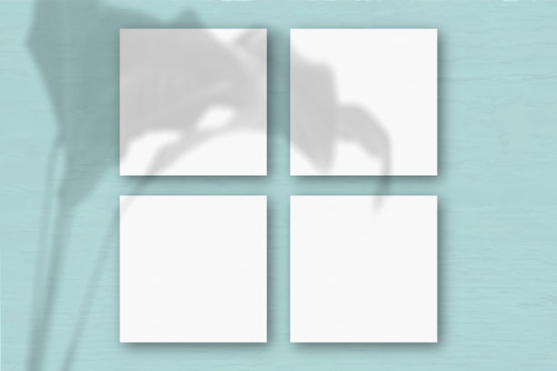 4张方形的白色纹理纸在蓝色的墙壁背景上。模型覆盖的植物阴影。自然光在外来植物上投下阴影。平躺，俯视图图片下载