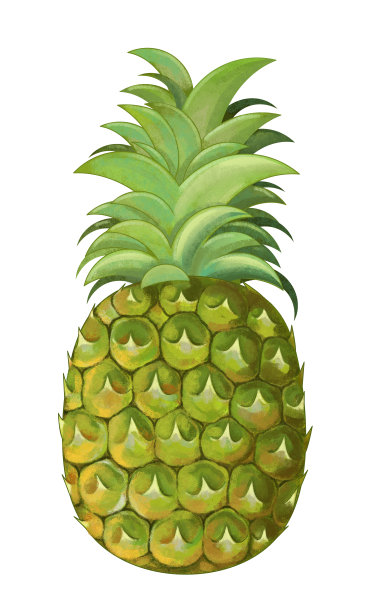 卡通菠萝在白色的背景-插图素材图片