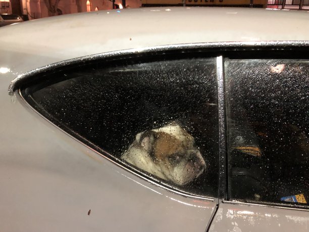 旧金山图片下载